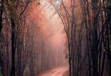 雷速体育：曝上海海港有意比甲豪門邊鋒特奧邦貢達.