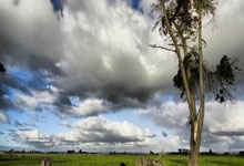 22／23賽季五大聯賽上半場零封排行榜：曼聯出乎意料占榜首！阿森納僅第三！.