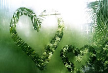 雷速体育：哈蘭德腹股溝舊傷未愈！至今仍未參與隊內訓練 恐無緣大戰利物浦！.