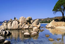 雷速体育：走过10年，中国体育产业学会“慢下来”.